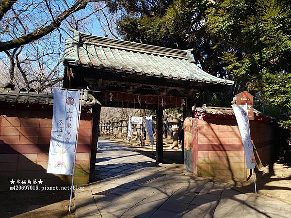 〔2023日本東京自由行8日遊〕上野恩賜公園//上野東照宮/