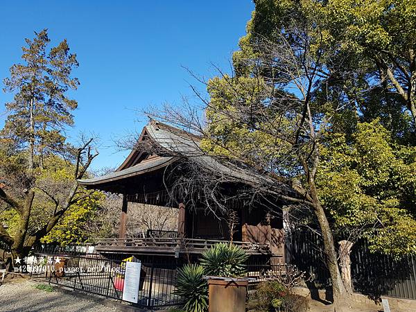 〔2023日本東京自由行8日遊〕上野恩賜公園//上野東照宮/