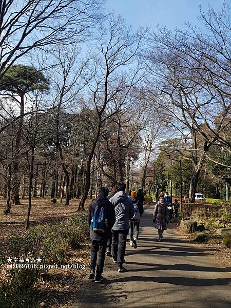 〔2023日本東京自由行8日遊〕吉祥寺//井之頭恩賜公園//