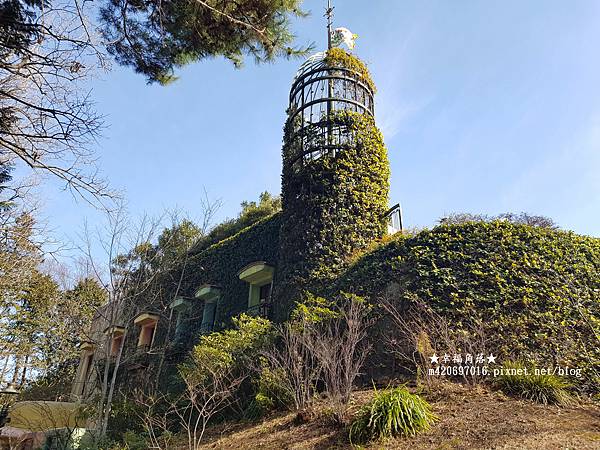 〔2023日本東京自由行8日遊〕吉祥寺//井之頭恩賜公園//