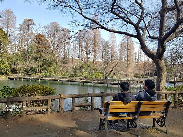 〔2023日本東京自由行8日遊〕吉祥寺//井之頭恩賜公園//