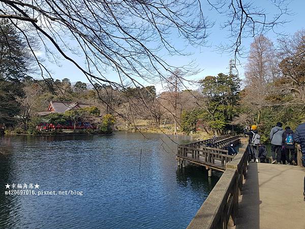 〔2023日本東京自由行8日遊〕吉祥寺//井之頭恩賜公園//