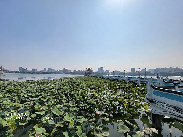 〔2023台南高雄二天一夜〕蓮池潭風景區