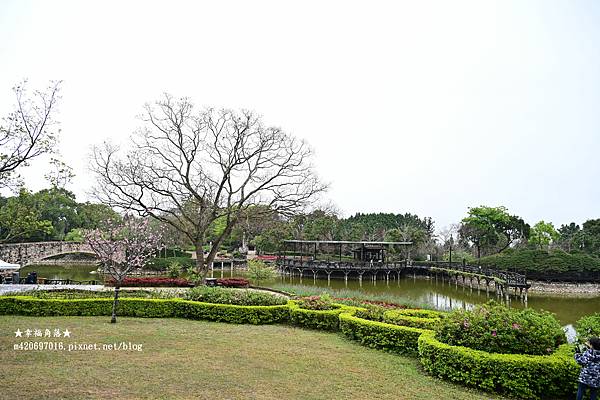 《台中新社》著迷.馭之所獅與獅友們一同在新社莊園相見歡