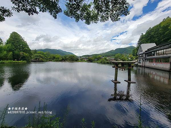 〔2024日本九洲/山口縣暑假自由行8日〕湯布院//湯布院花