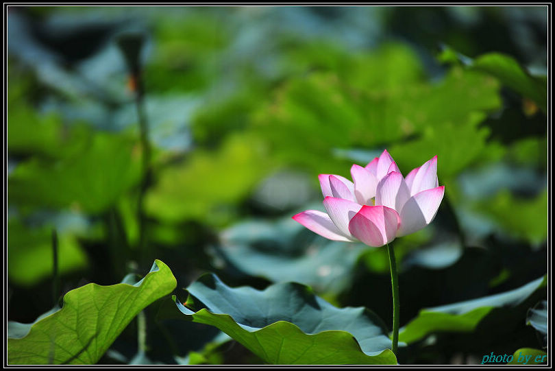 DSC_3506 DSC_3506