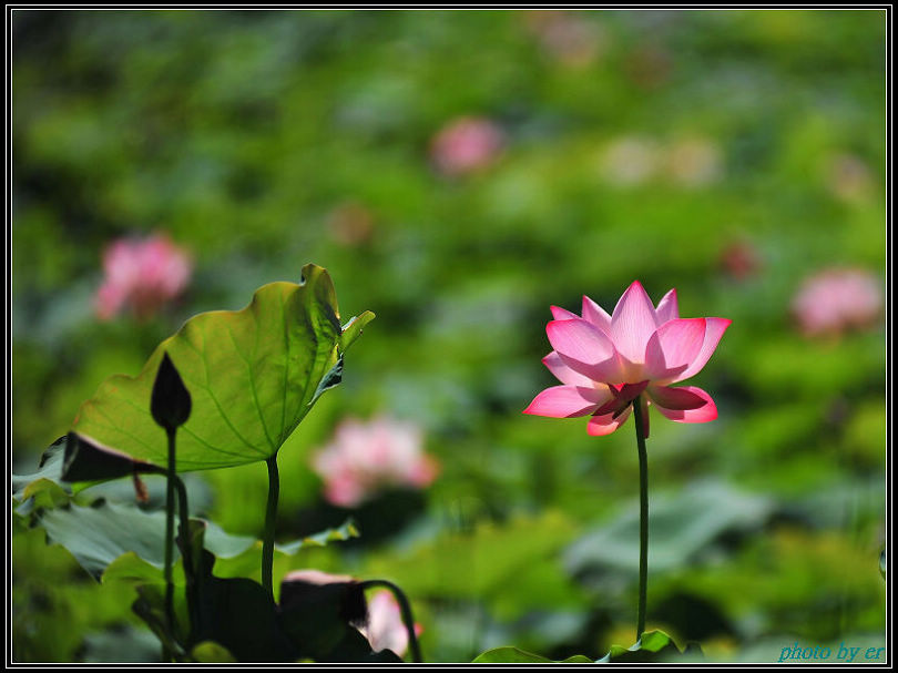 DSC_3578 DSC_3578