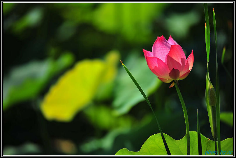 DSC_4154 DSC_4154