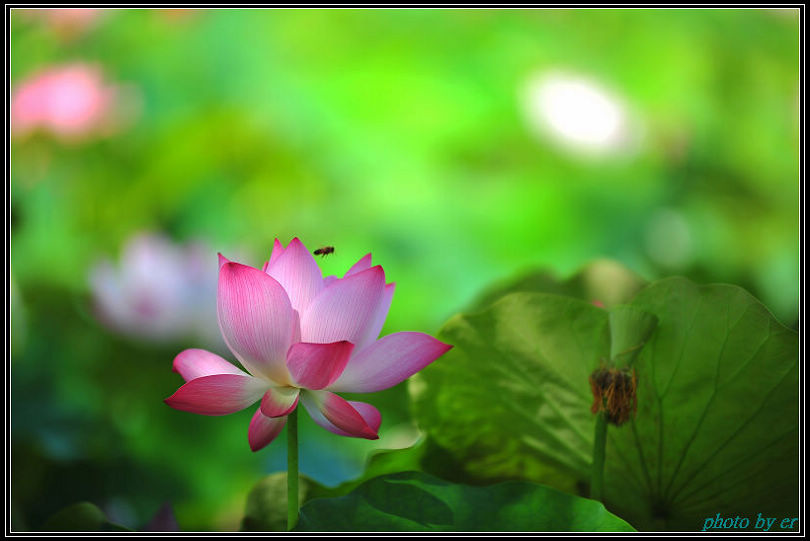 DSC_4277 DSC_4277