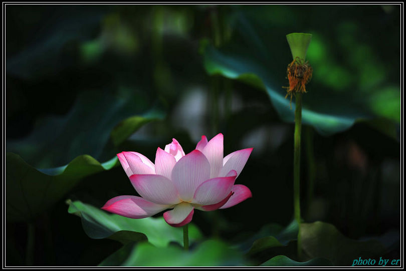 DSC_4327 DSC_4327