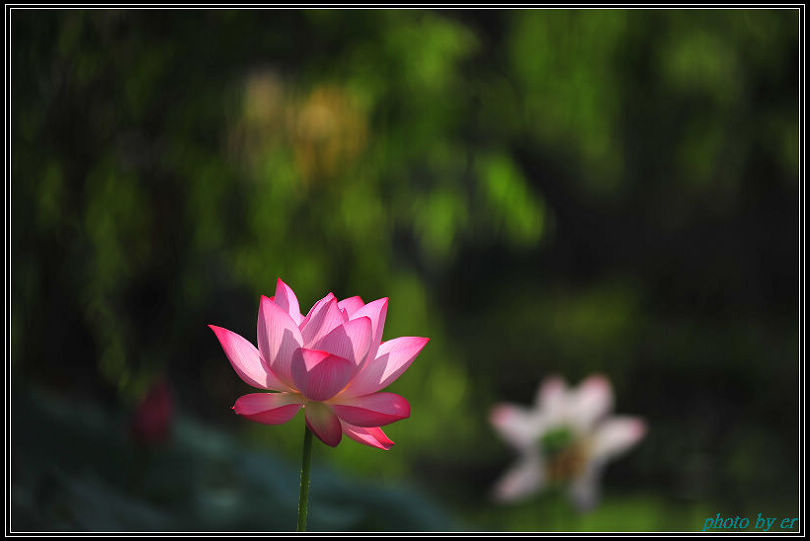 DSC_4725 DSC_4725