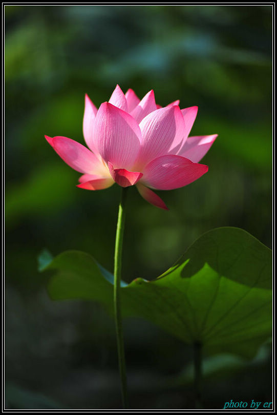 DSC_4830 DSC_4830