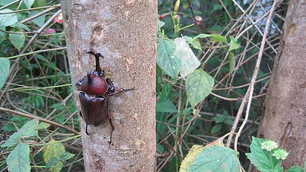 IMG_4870 IMG_4870