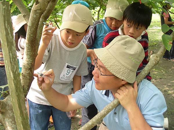 15童話村的幫桑椹打針治病活動.不止小孩喜歡玩，就連大人都玩得不亦樂呼