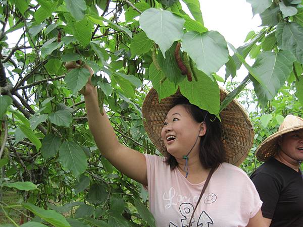 來自馬來西亞的由遊遊客採果樂