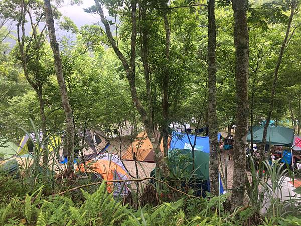 IMG_0892.JPG IMG_0892.JPG