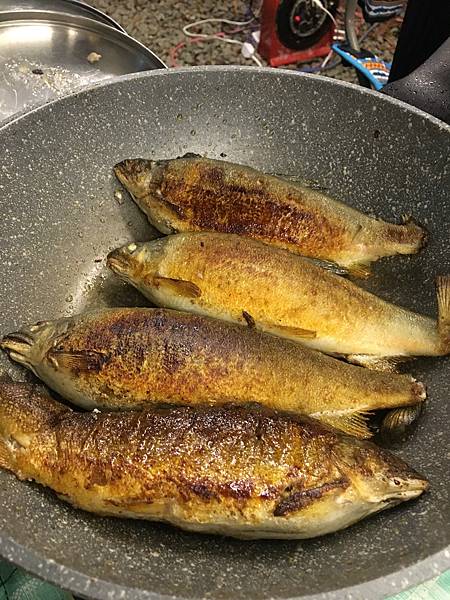 IMG_0914.JPG IMG_0914.JPG