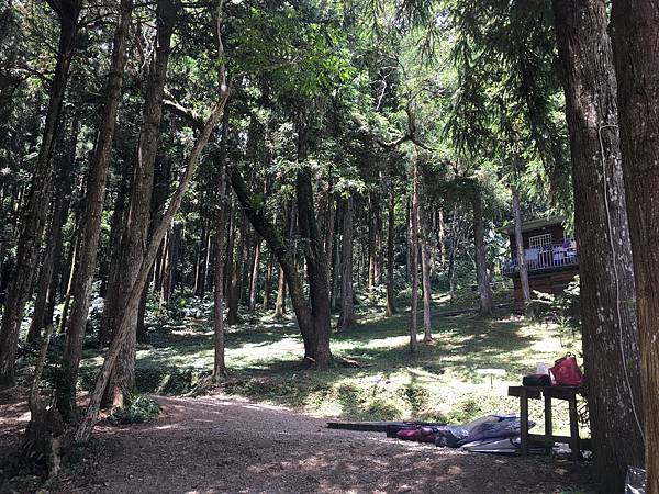 IMG_1802.JPG IMG_1802.JPG