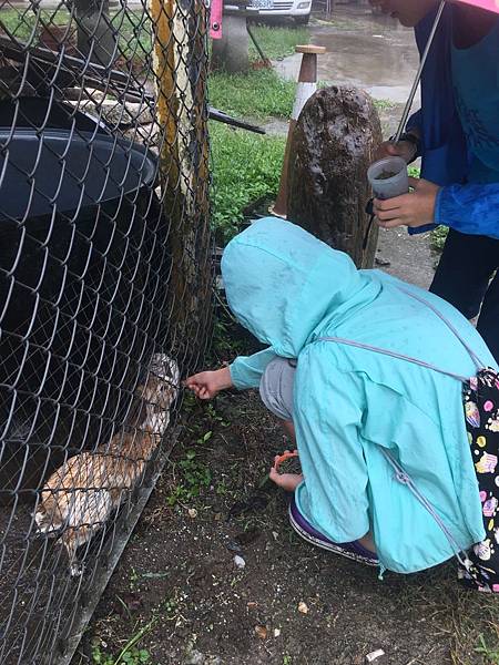 IMG_2527.JPG IMG_2527.JPG