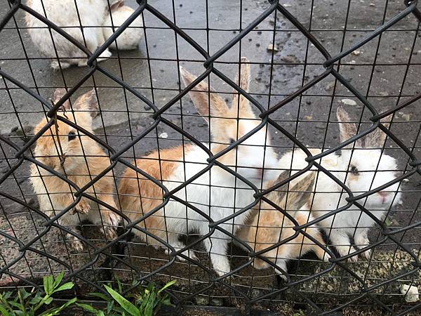 IMG_2525.JPG IMG_2525.JPG