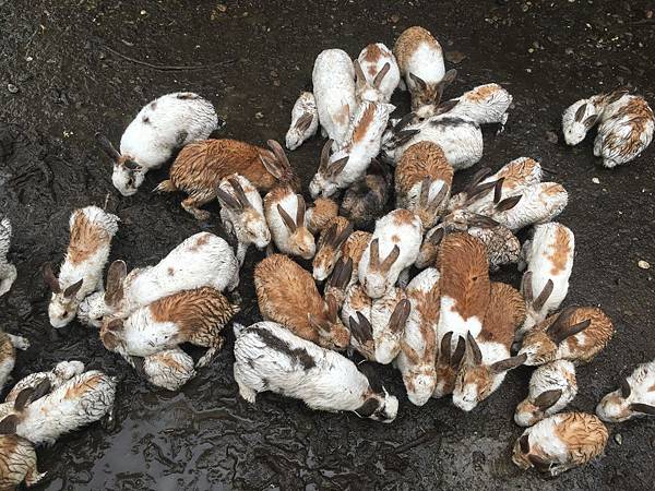 IMG_2530.JPG IMG_2530.JPG