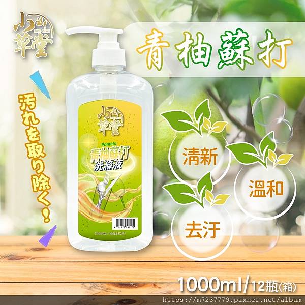 小草堂 天然草本香氛 碗盤洗滌液(綠茶香氛/青柚蘇打/義式小