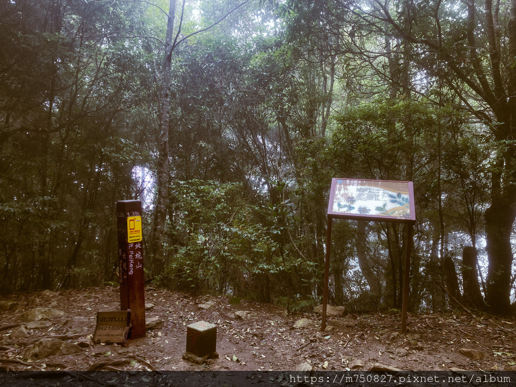 【親子登山】2023-10-8~10-9雪霸國家公園-雪見大