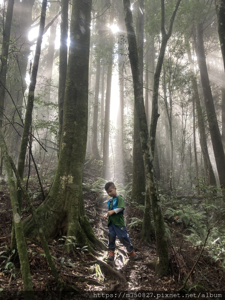 【親子登山】2023-10-14 留龍頭經嶺頭山上金柑樹山~