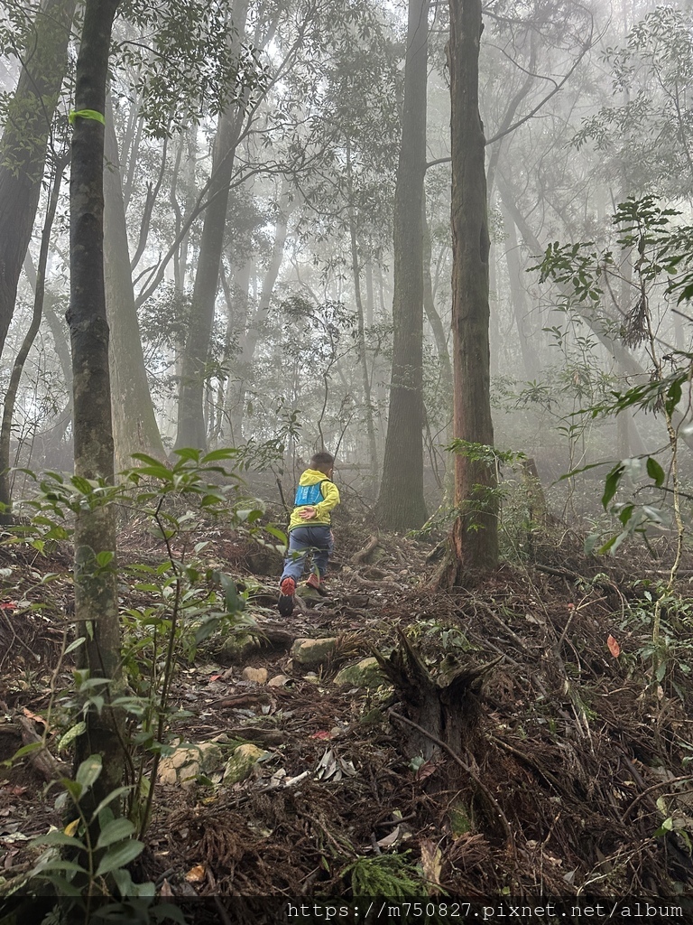 【親子登山】2023-10-14 留龍頭經嶺頭山上金柑樹山~