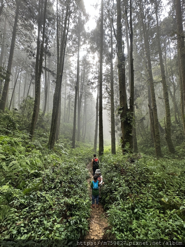 【親子登山】2023-10-14 留龍頭經嶺頭山上金柑樹山~