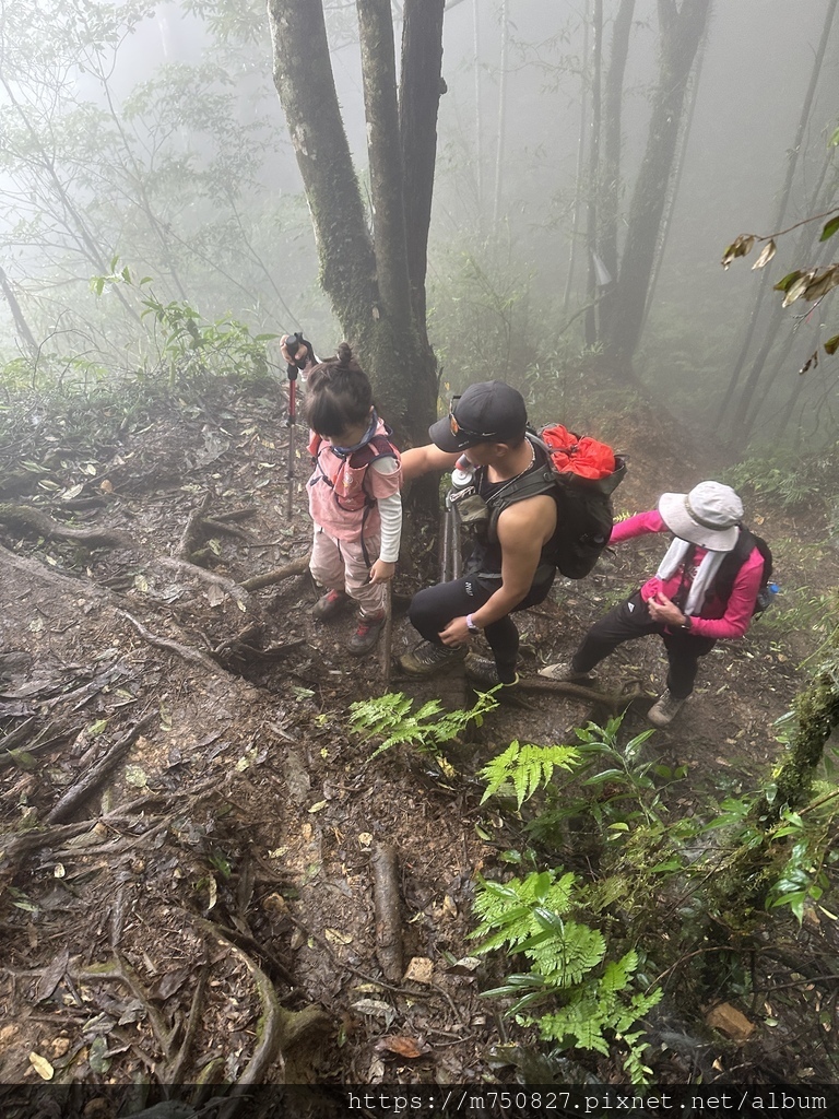 【親子登山】2023-10-14 留龍頭經嶺頭山上金柑樹山~