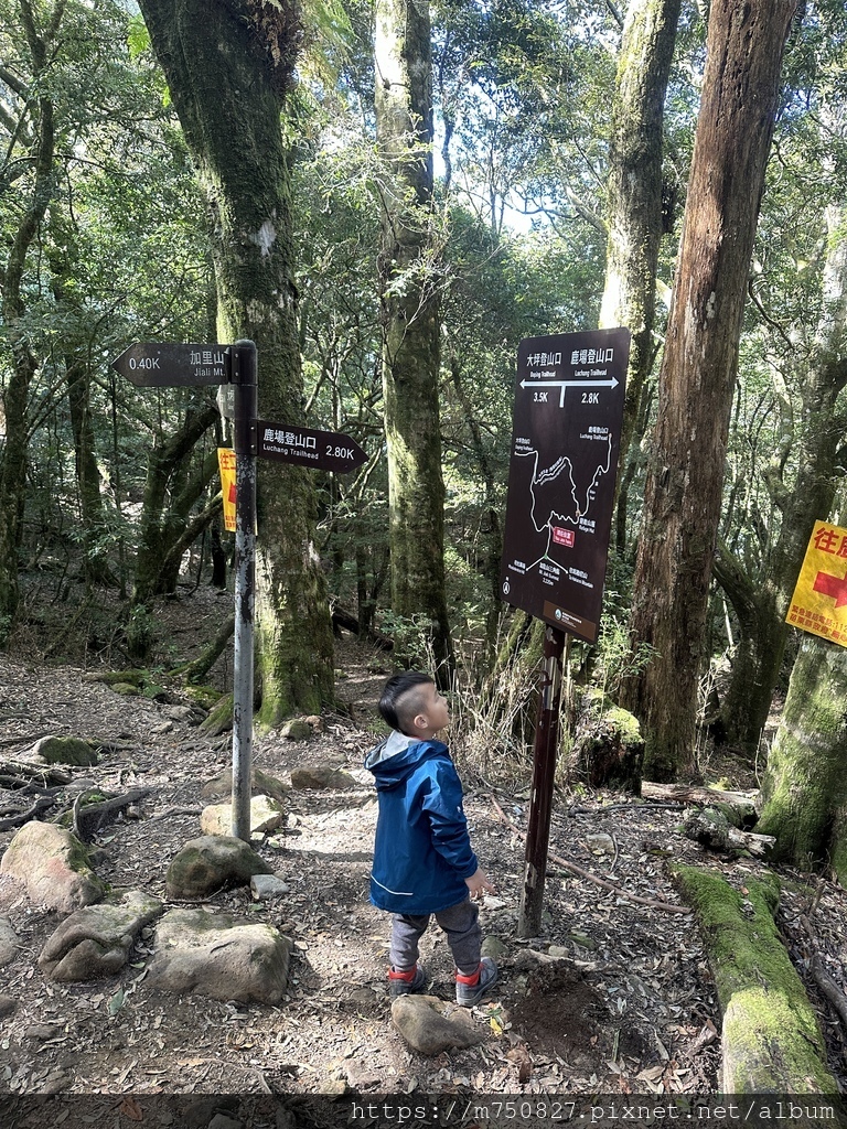 【親子登山】2023-12-09鹿場上加里山