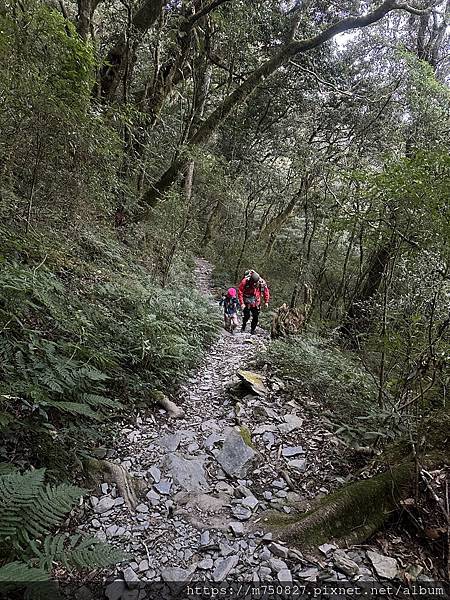 【親子登山】2023-12-29～31檜谷山莊～北大武三天兩