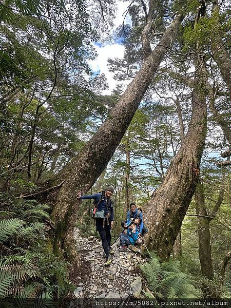 【親子登山】2023-12-29～31檜谷山莊～北大武三天兩