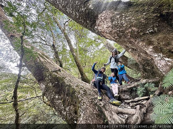 【親子登山】2023-12-29～31檜谷山莊～北大武三天兩