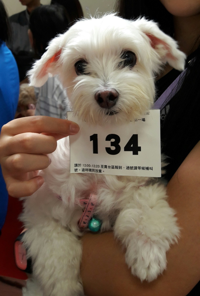 20161118寵物展_7727.jpg 試用