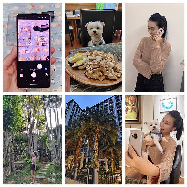 【開箱】世界最輕手機推薦SHARP AQUOS sense8 【開箱】世界最輕手機推薦SHARP AQUOS sense8