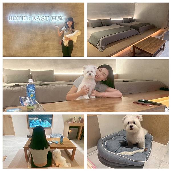 宜蘭新月廣場住宿/宜蘭東旅/住宿按摩/寵物友善 宜蘭新月廣場住宿/宜蘭東旅/住宿按摩/寵物友善