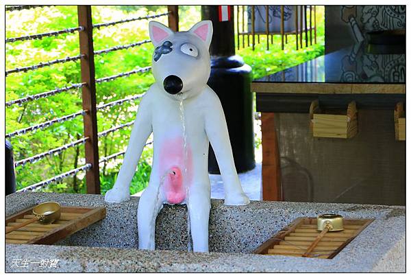 IMG_9622.jpg IMG_9622.jpg