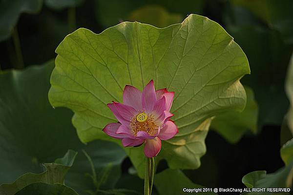 05月31日