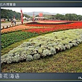 Taipei-flower-04.JPG