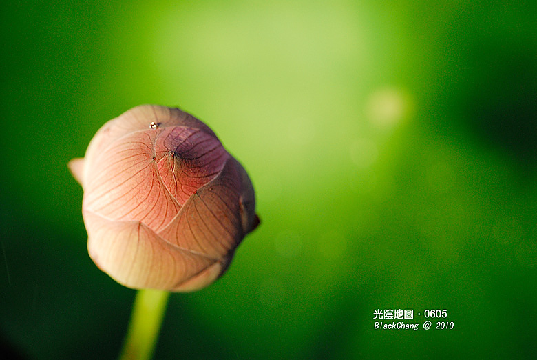 06月05日