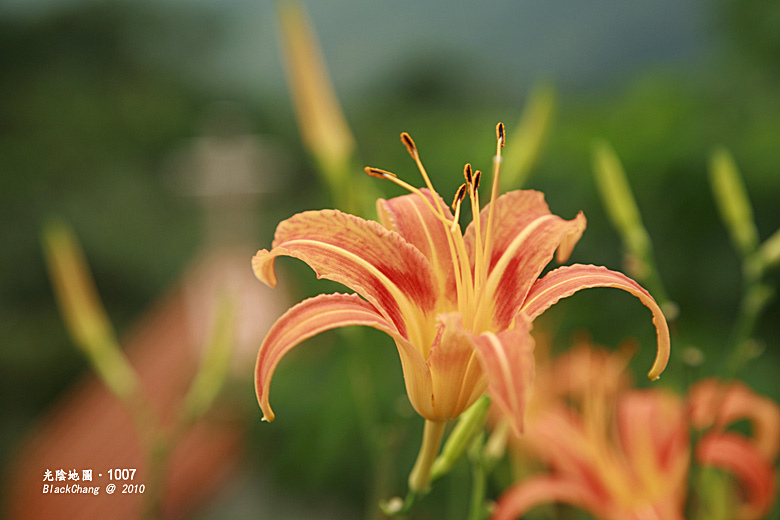 10月07日