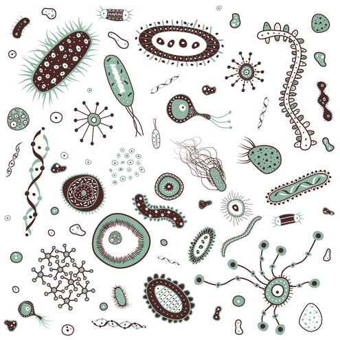 vector-bacteria-preview-by-dragonart.jpg