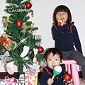 111IMG_3398.jpg