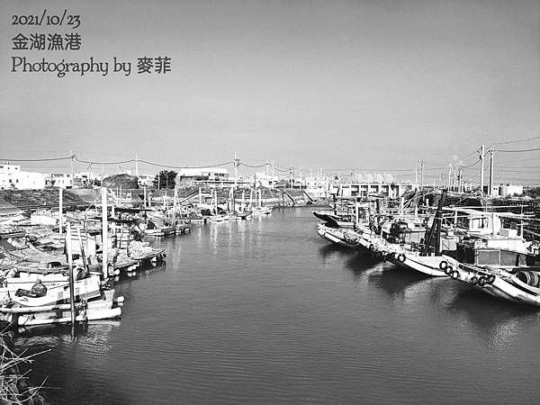 麥菲《鏡頭裡的雲林》雲林版的紐西蘭奧克蘭霍布森碼頭