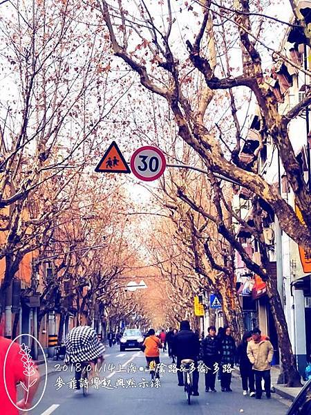 麥菲《走讀在旅途上》~上海山陰路與多倫多路