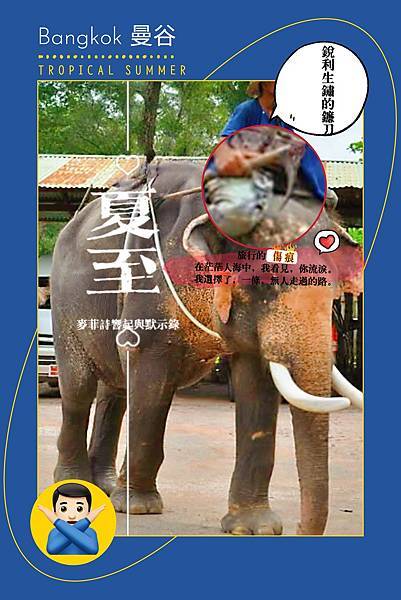 麥菲•《走讀在旅途上》大象的眼淚