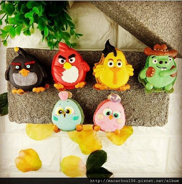 憤怒鳥 馬卡龍 Angry birds macaron