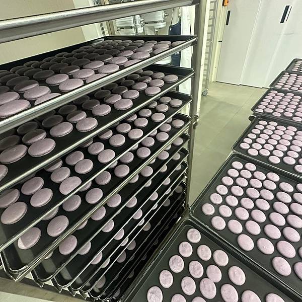 🍬 從手心開始的甜:拾參馬卡龍烘焙日誌